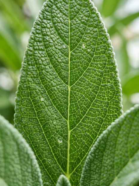 Biocompatibilidad y Textura